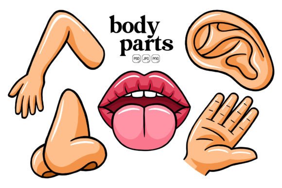 Body Parts Illustration Pack 01: Cute Character Art for Creative Projects