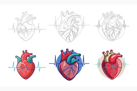 Making Heart Health Visual: How Smart Illustrations Change the Conversation