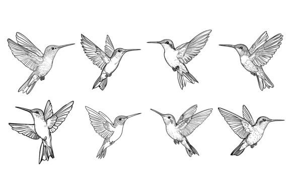 Seamless Pattern with Hummingbirds: Welcome to a World of Versatile AI EPS Illustration